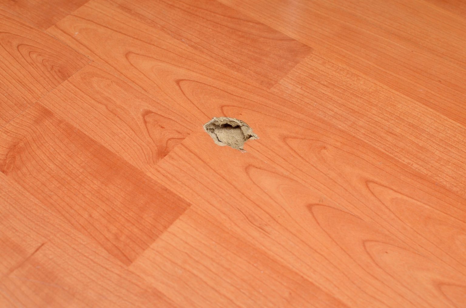 How to Repair Laminate Flooring Water Damage [6 Methods]