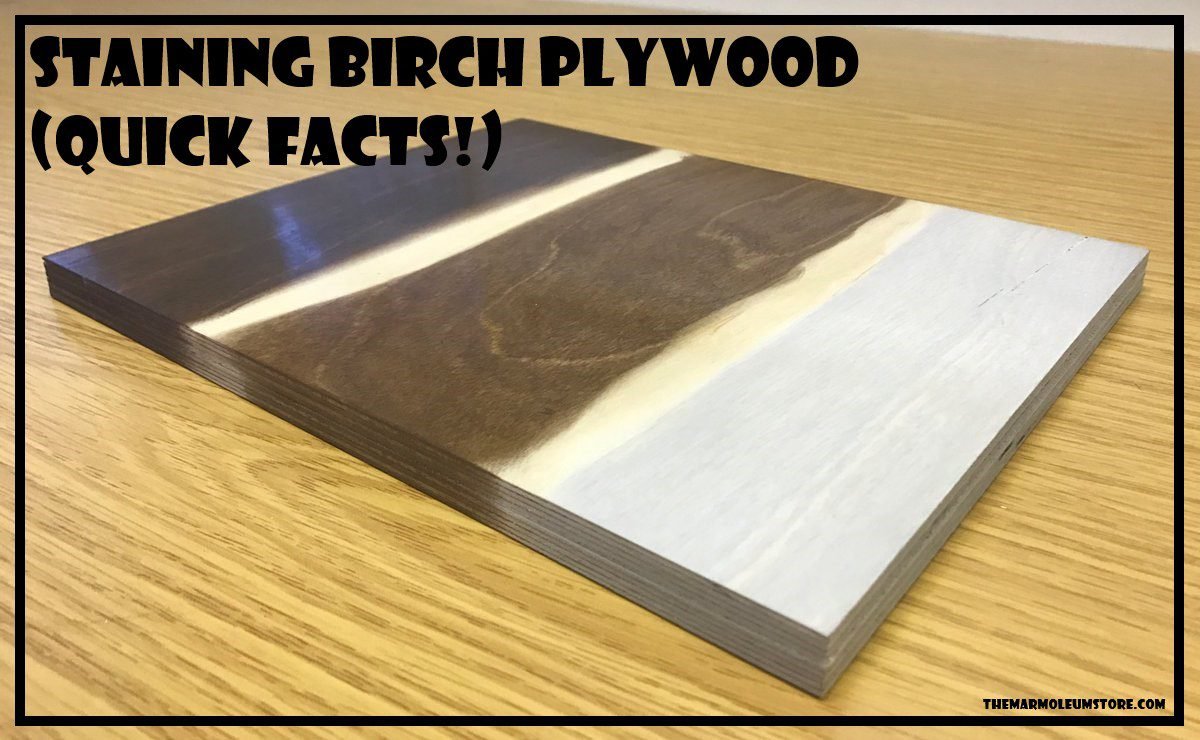 Staining Birch Plywood (Quick Facts!)