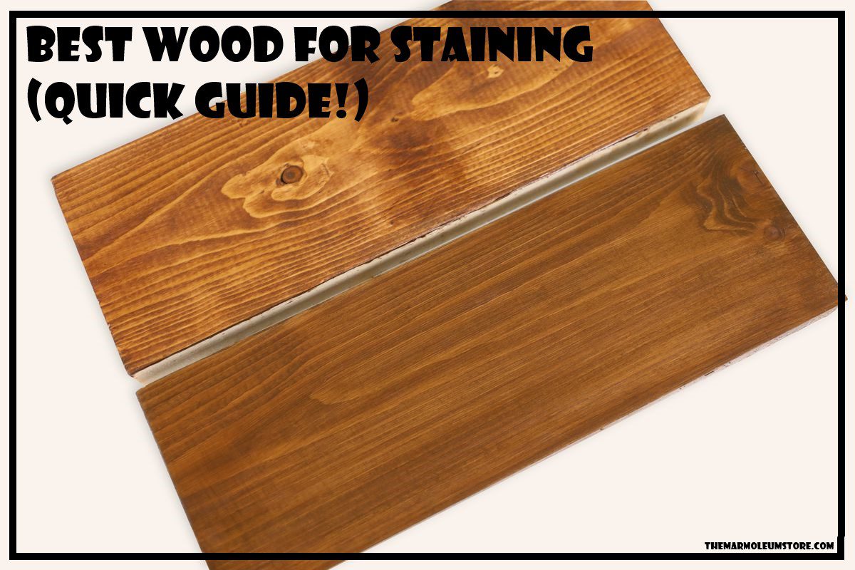 Best Wood For Staining (Quick Guide!)